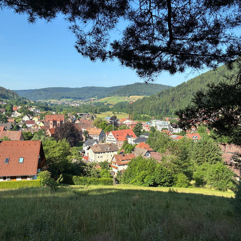 Kloster und Blick nach Baiersbronn