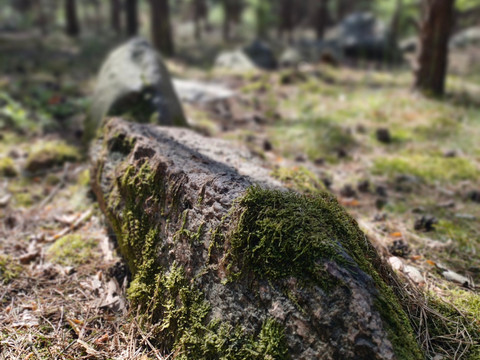 Piskowitzer Steinkreis