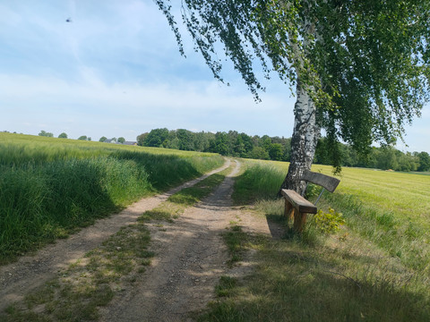 Baumelbank nahe Zerna