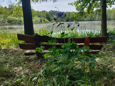 Rastbank am Sandteich