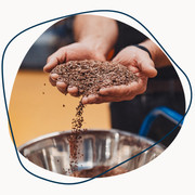 Die Ölmühle kennenlernen (1).png Zwei Hände voll mit Leinsamen