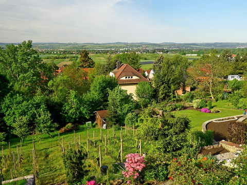Blick in den Garten