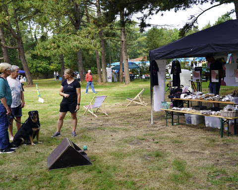 Hundebadetag-Nordseeheilbad-Cuxhaven-2024-3-bearbeitet.jpg