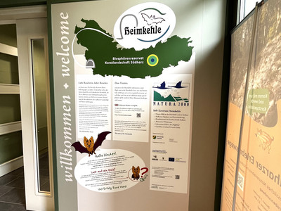 Das Bild zeigt eine Infotafel im Natur- und Erlebniszentrum Heimkehle. Auf der Tafel sind Informationen zur Ausstellung und zur Region Karstlandschaft Südharz zu sehen, begleitet von freundlichen Grafiken von Fledermäusen.