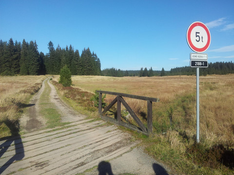 Hochmoor Kranichsee