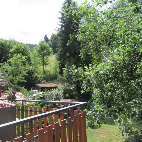 FeWo Schönmünzblick, Aussicht vom Balkon