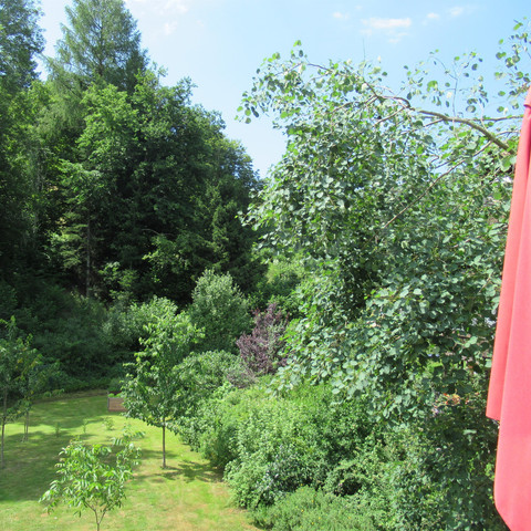 FeWo Schönmünzblick, Gartenblick