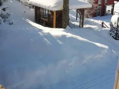 Blick vom Balkon (2)