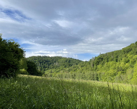 Louisendorf Rundweg 2
