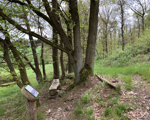 Rastplatz Lengeltal Rundweg 3