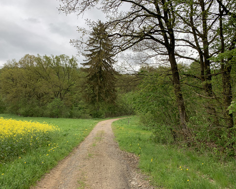 Wald, Wiesen und Felder Lengeltal