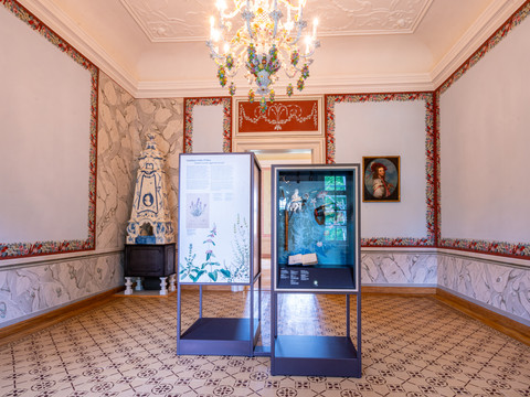 Ein eleganter Raum im Schloss Rammenau mit Ausstellungsvitrinen und kunstvollem Kronleuchter.An elegant room in Rammenau Castle with exhibition cabinets and an ornate chandelier.Elegantní místnost na zámku Rammenau s výstavními skříněmi a zdobeným lustrem.Elegancki pokój w zamku Rammenau z gablotami wystawowymi i ozdobnym żyrandolem.Een elegante kamer in Kasteel Rammenau met tentoonstellingskasten en een sierlijke kroonluchter.Un'elegante sala del castello di Rammenau con vetrine e un lampadario ornato.