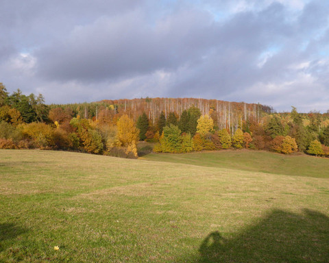 Am Rande des Ferienhaus-Dorf
