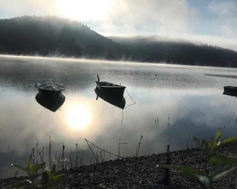 Morgenstimmung am Seeufer