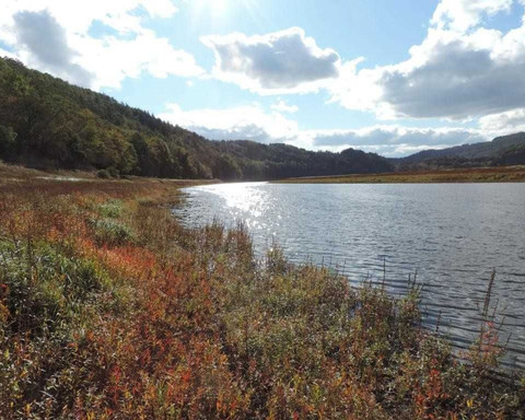 Genießen Sie die wunderbare Herbststimmung