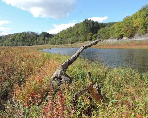 wenn das Wasser weniger wird