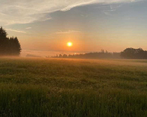 Morgenstimmung im Nationalpark nur 20 Gehminuten vom Haus entfernt