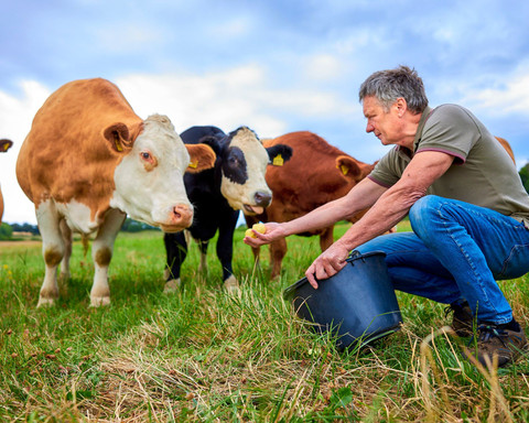 Flair Hotel Werbetal