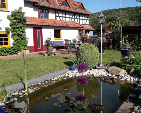 Libellen und Molche besiedeln den Teich