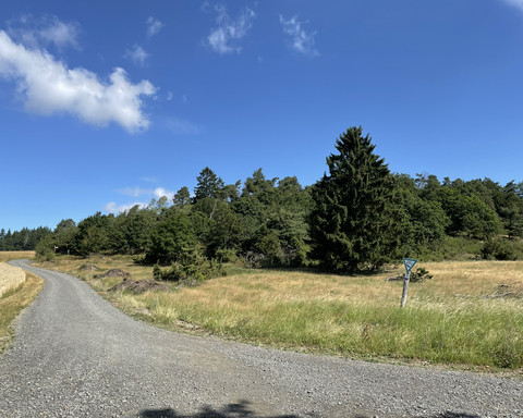Naturdenkmal auf dem Estenbergrundweg 1