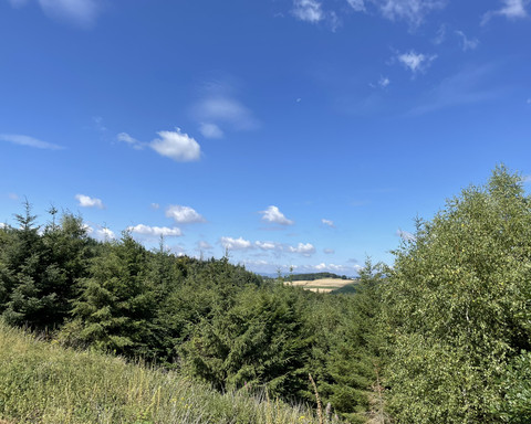 Ausblick vom Estenbergrundweg 1