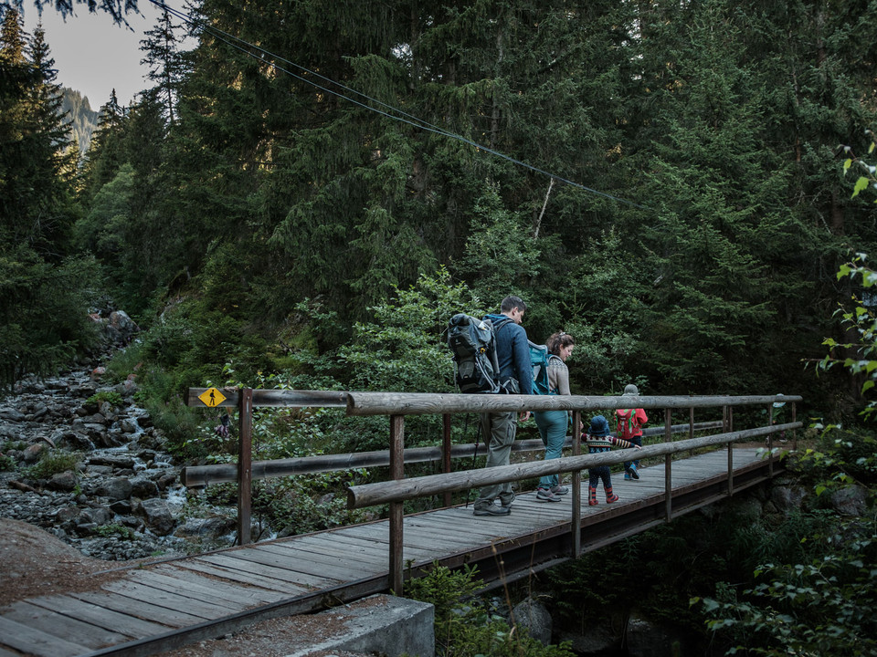 Brücke im Rischinerwald