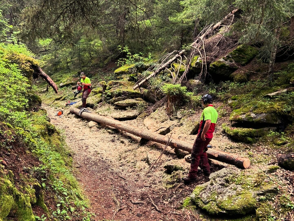 Forst Kugelbahnen 01