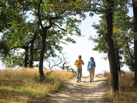 Wandern am Götterfelsen im Stadt Meißen