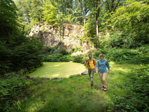 Königsee im alten Steinbruch im Stadtwald Meißen