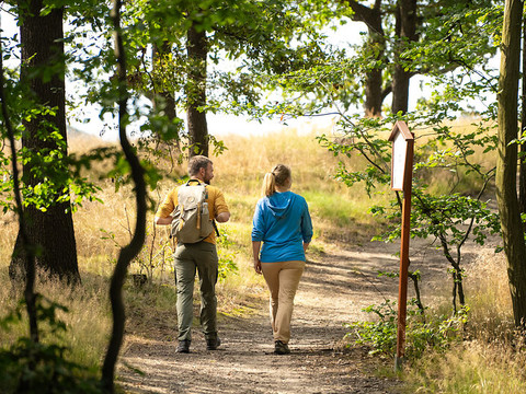 Auf dem Weg durch den Stadtwald Meißen