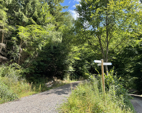 Wegweiser Estenbergrundweg 2