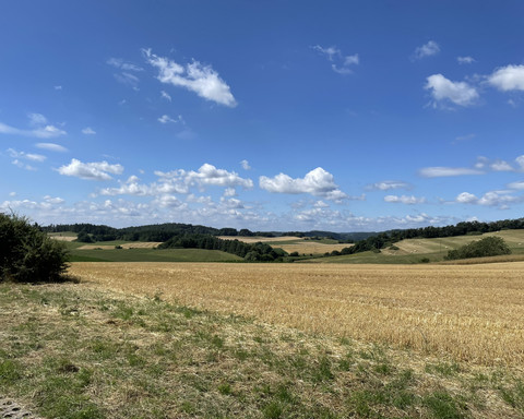 Felder um dem Estenberg Rundweg 3