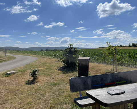 Rastplatz auf dem Estenberg Rundweg 3