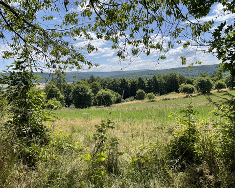 Aussicht vom Estenberg Rundwege 3