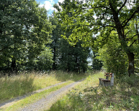 Wanderweg und Bank am Wegesrand des Estenberg Rundweges 3
