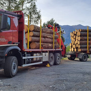 Lastwagen Forstrevier mit Holz.jpg