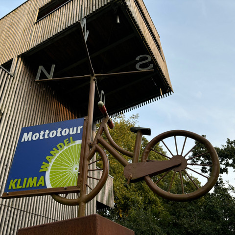 Bollenhagener Moorwald - Baumkronenturm