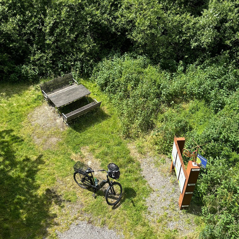 Bollenhagener Moorwald