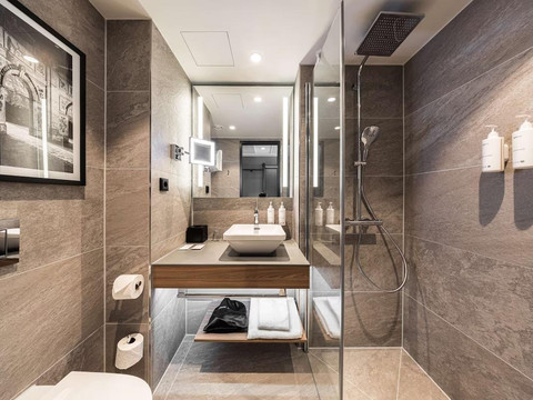 Radisson-Standard-Bad