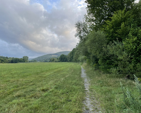 An der Aar entlang