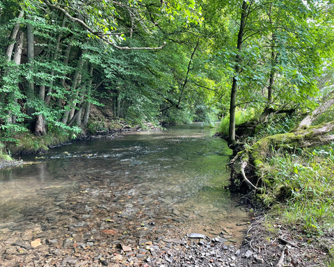 An der Aar