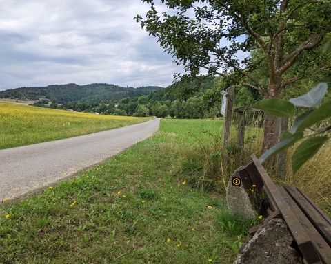 Bank am Lorfetal Rundweg 2
