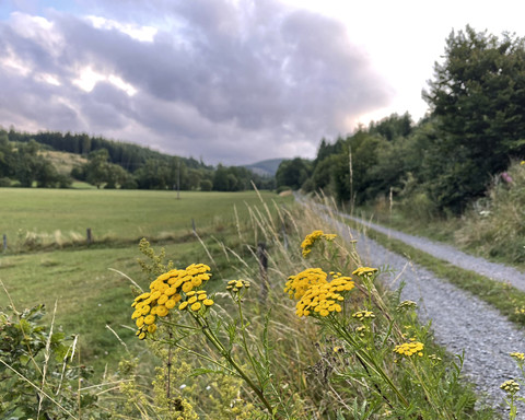 Unterwegs im Aartal