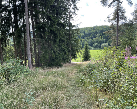 Auf Pfaden unterwegs