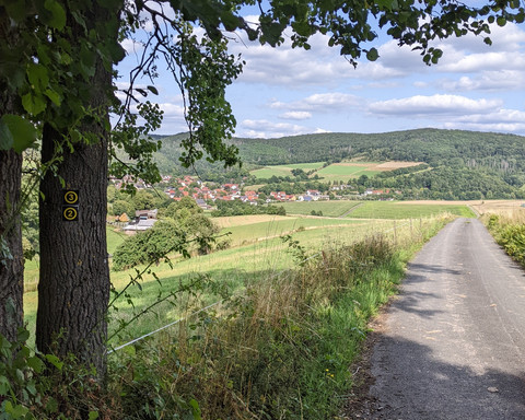 Blick aus dem Wald auf Altenlotheim