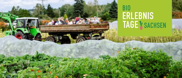 Bio-Erlebnistage 2025-Victor-Smolinski.jpg Traktor zieht Anhänger mit Menschen durch einen grünen Gemüseacker bei den Bio-Erlebnistagen.