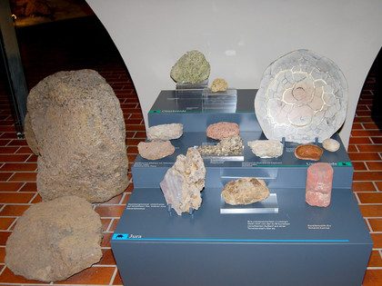 Geologie Salder (4)_HD.jpg