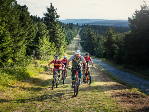 Stoneman_Miriquidi_c_TMGS_Philipp Ruopp_2020 (20).jpg Vier Mountainbiker fahren einen grasbewachsenen Weg in einem bewaldeten Gebiet bergauf.