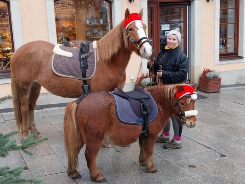 Unsere tierischen Mitbewohner