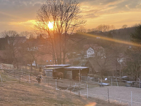 Der Pferdestall im Abendlicht
